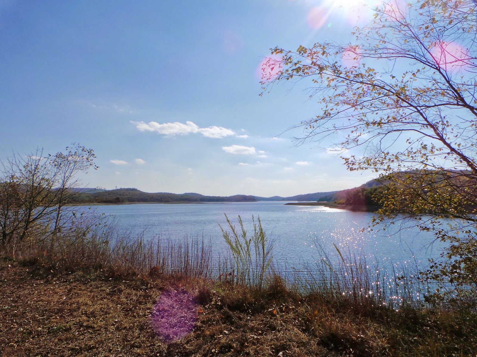 New Jersey and You Perfect Together, Liberty and