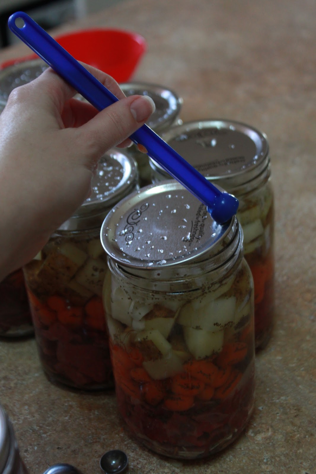 Raw Pack Beef Stew (Pressure Canning) HeartWise Essential Solutions