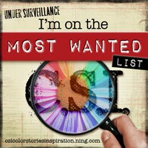 CSI Most Wanted