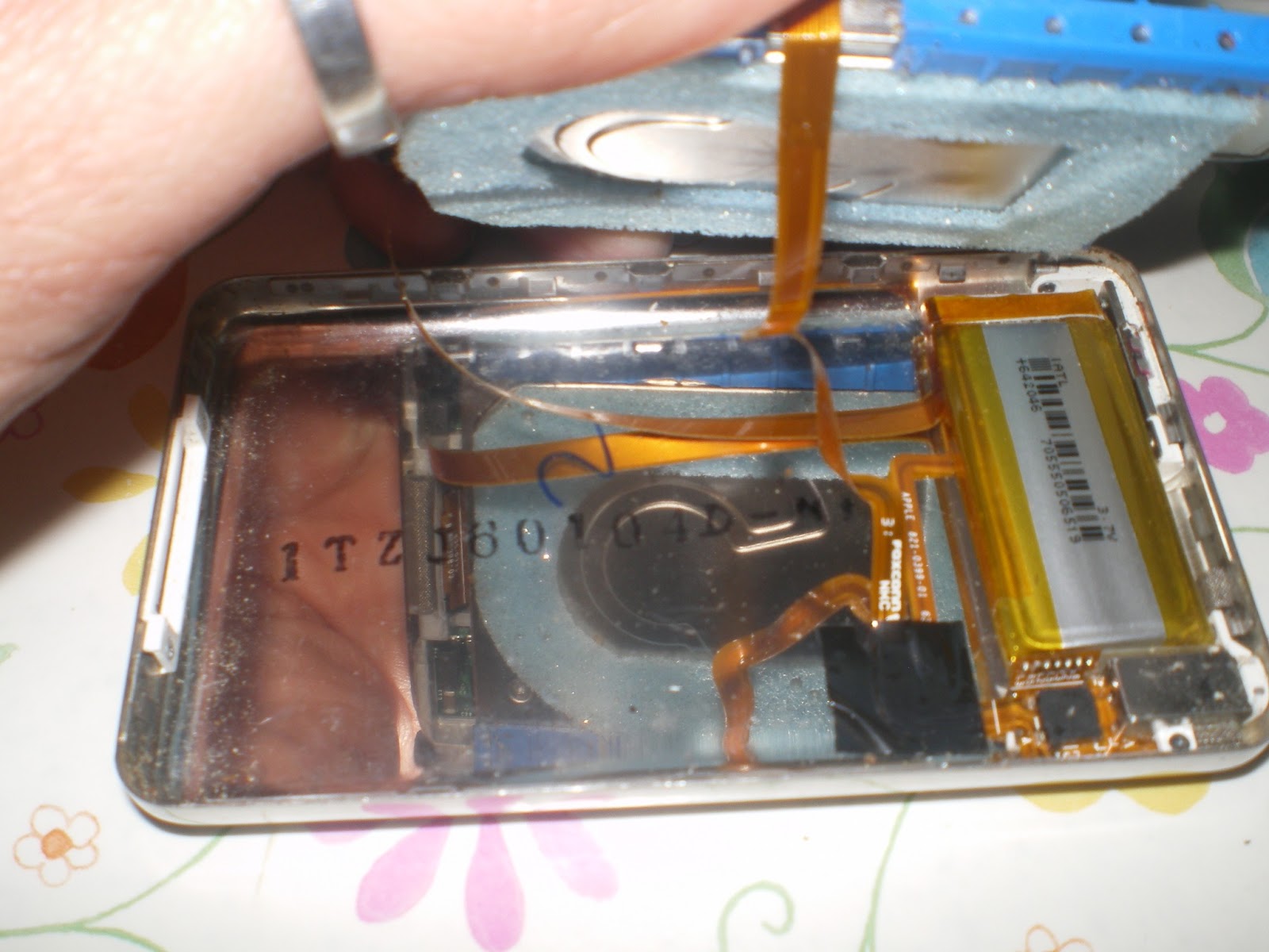 DHOB: All'interno Di Un IPod 5 Generazione - Foto 6