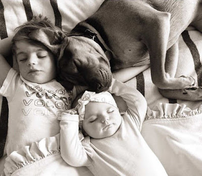 10 hermosas fotos de bebés con sus mascotas