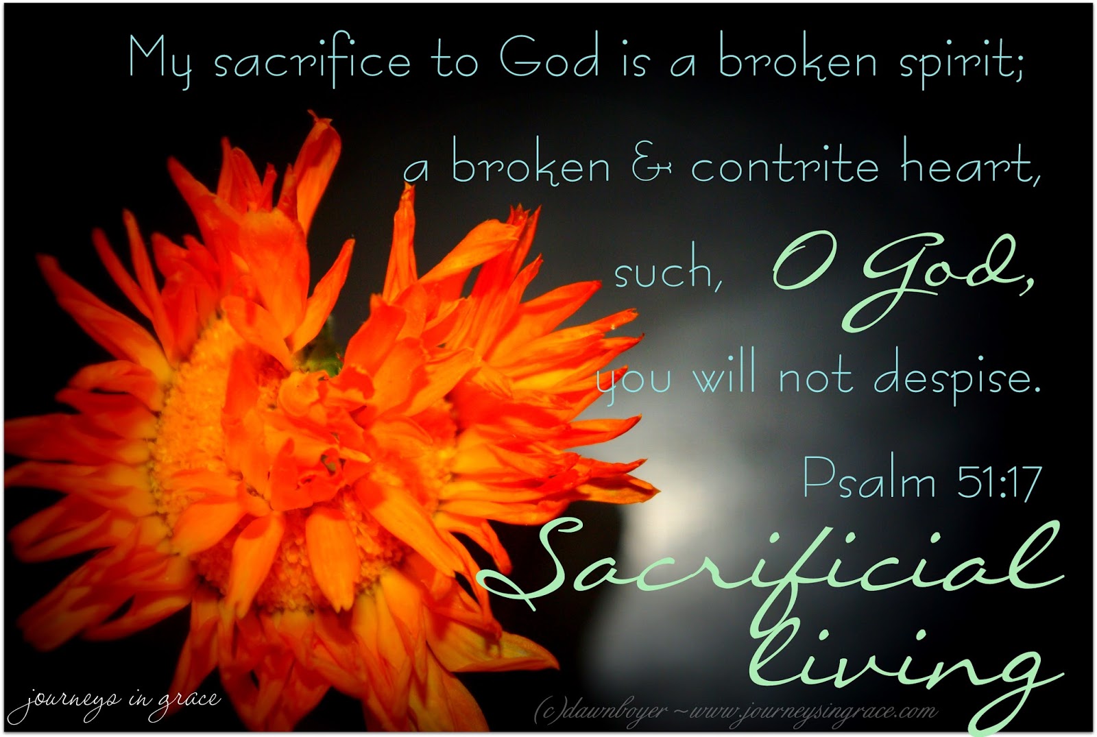 Thoughts From Another Home Living Sacrificially A Psalm 51 14 17 
