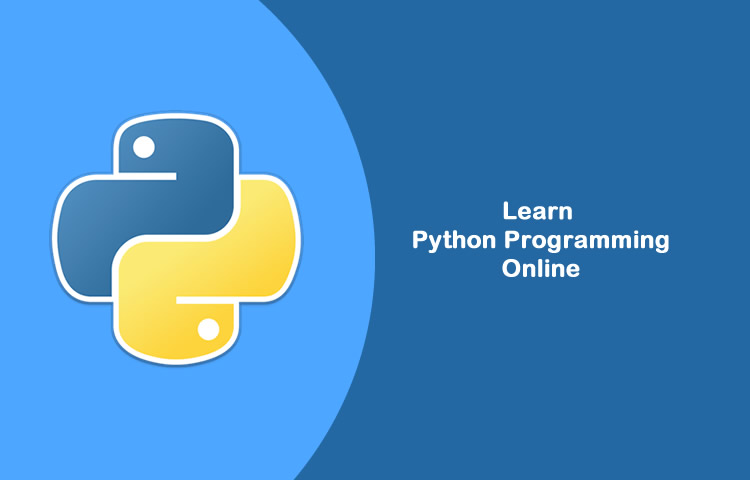 Learn Python Programming Online