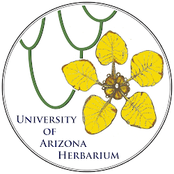 University of Arizona Herbarium