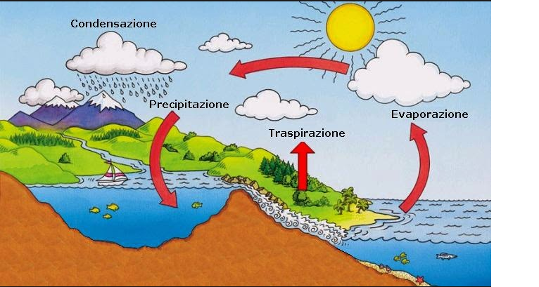 Il Ciclo Dell Acqua Scuola Primaria