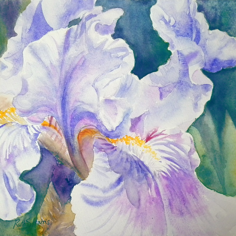A Passion for Watercolour!