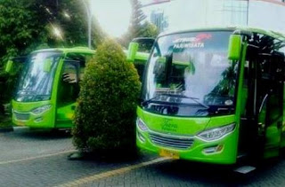 Tarif Sewa Bus Medium Jakarta Tarif Sewa Bus Medium Jakarta, Harga Sewa Bus Medium Jakarta