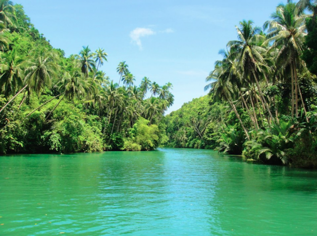  Sungai Terbesar di Indonesia Beserta Gambarnya 10 Sungai Terbesar di Indonesia Beserta Letaknya