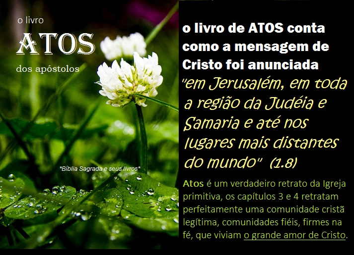 Bíblia Sagrada e seus livros ATOS o 5º livro do NOVO Testamento, Atos dos apóstolos Bíblia Sagrada e seus livros ATOS o 5º livro do NOVO Testamento, Atos dos apóstolos