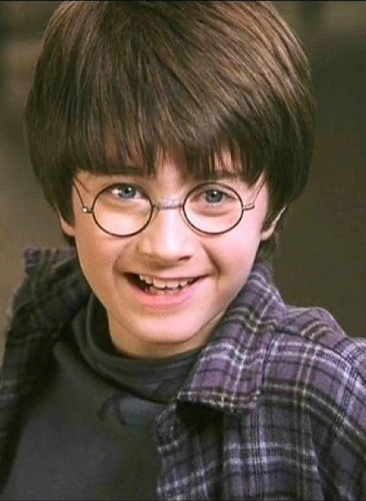 Tesoro de Libros Harry Potter