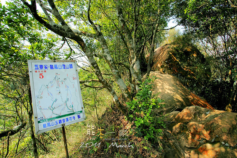 三峽五寮尖登山|踩在腳下的山陵線|牛背脊山線