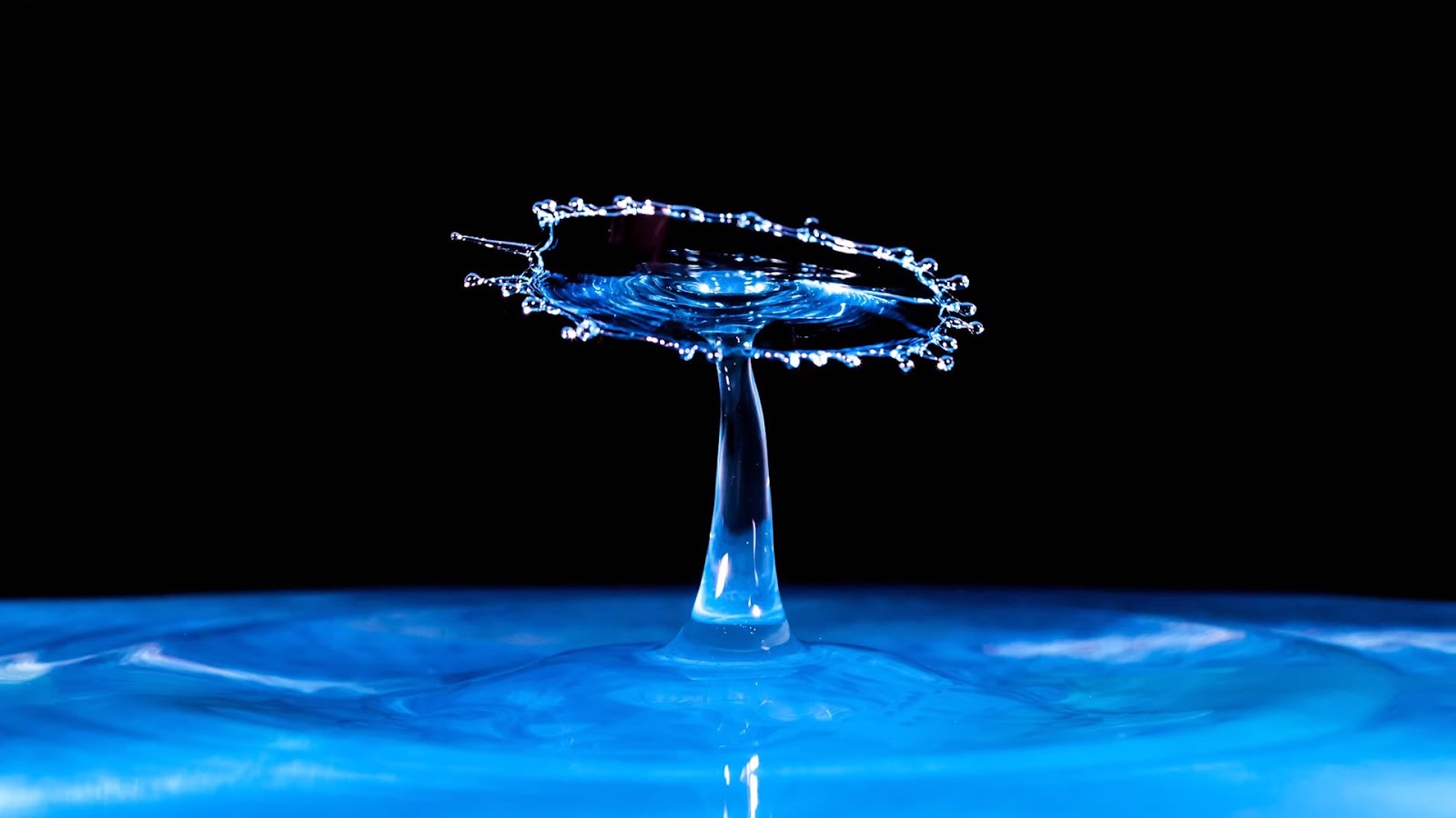 Water Drop Photography: EVERY STEP from start to print