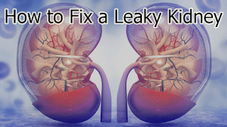 How to Fix a Leaky Kidney