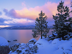snow wallpapers nature lake snowy winter tahoe zima landscape scenes christmas forest cold
