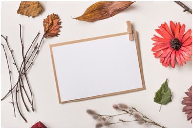 tarjeta con flores secas hecha a mano