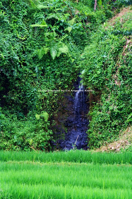 Air terjun mini di Kampung Naga Air terjun mini di Kampung Naga