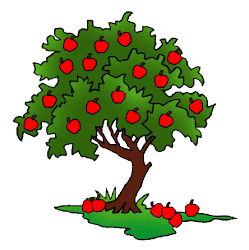 tree parts clip plant kindergarten worksheet apple drawing branches line clipart guide coloring preschool