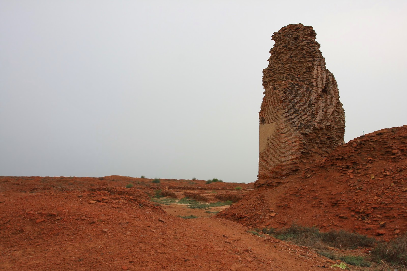 Salman Rashid Mansura of the Arabs