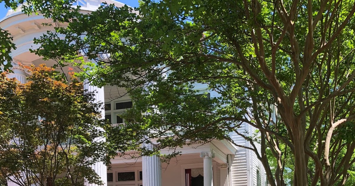 Places and EventsOakwood Tea and Garden Tour