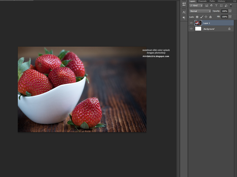 Membuat Efek Color Splash Dengan Photoshop A Blog By Mindalubis