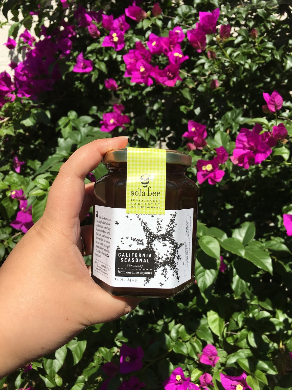AshleyNewell.me: Sola Bee Farms: Using Honey to Combat Allergies