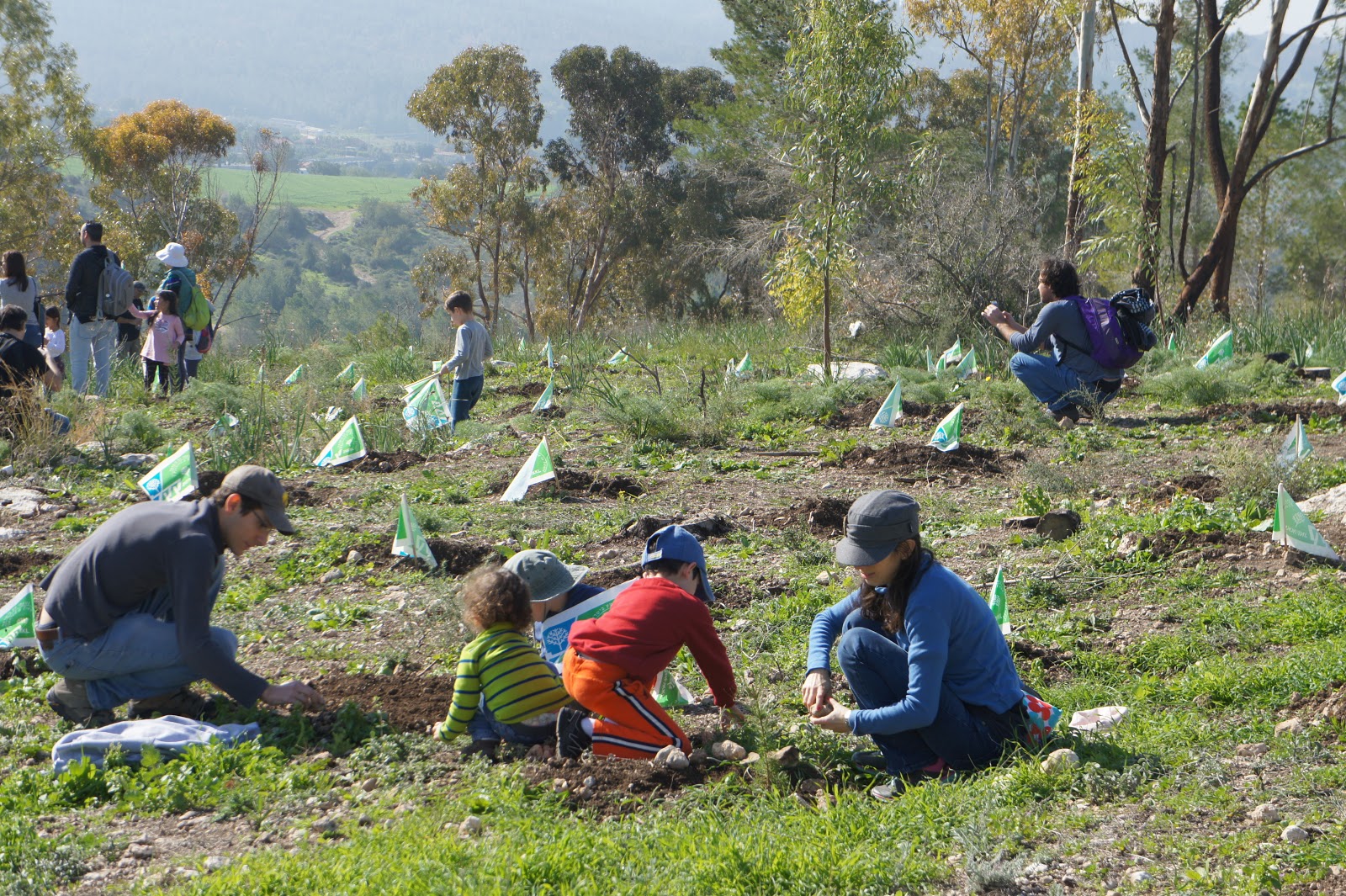 Israel's National Tree Planting Ceremony Tu'Bshvat Caari