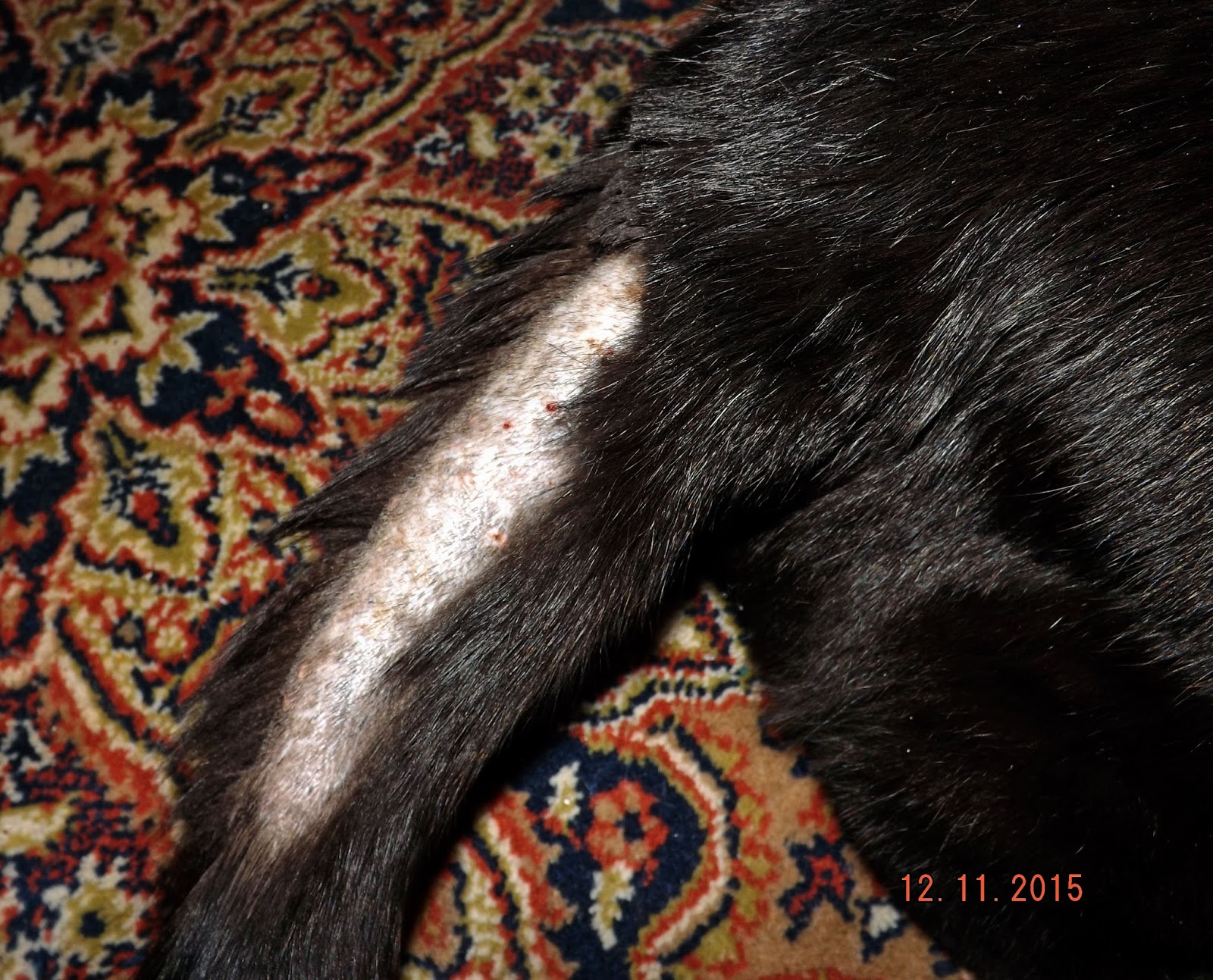 The Wiccan Life When it Rains, It's a Monsoon