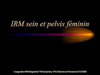 IRM sein et pelvis féminin.pdf