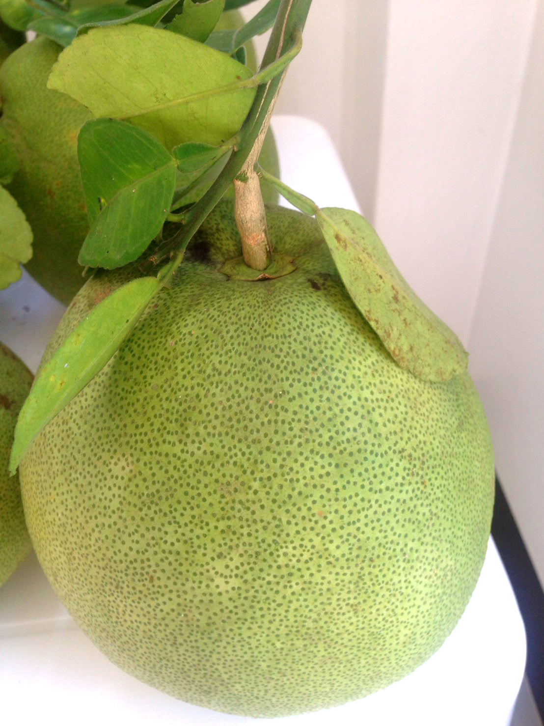 Explore Things! Pomelo (Kaao Yai) a yummy fruit of Samut Songkram