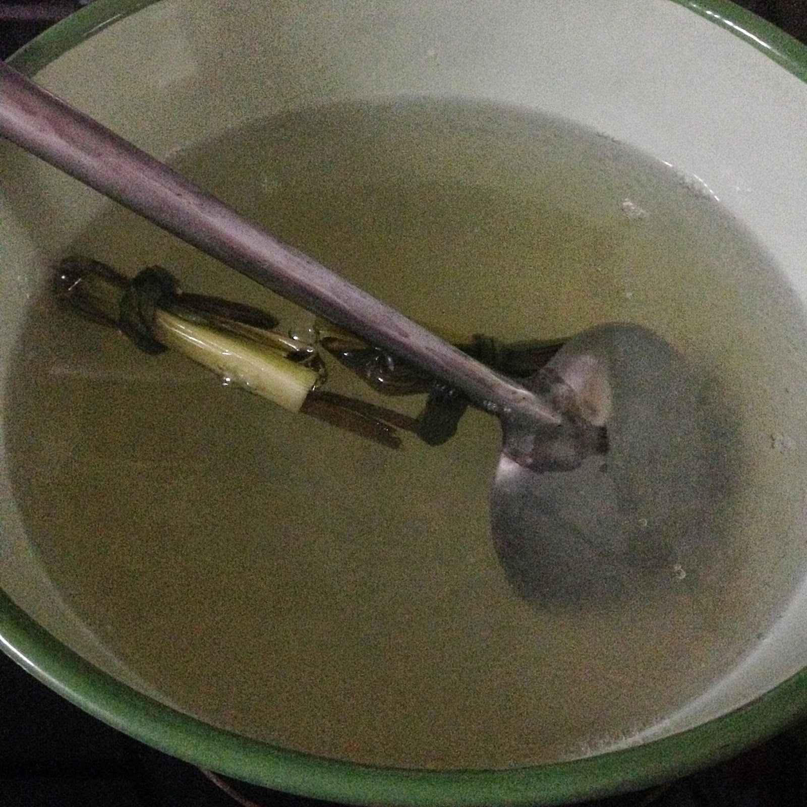 FoodieFC Coconut Milk Agar Agar Recipe Using Agar Agar Strips