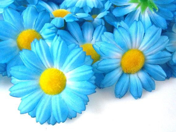 Send Flowers Cheap Send Flowers Cheap
