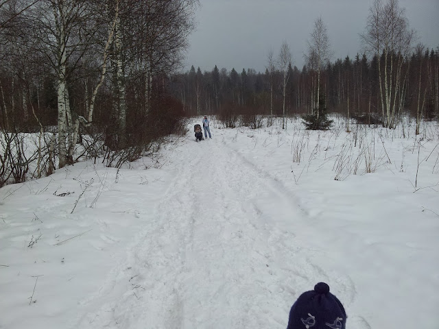 Лесная прогулка..