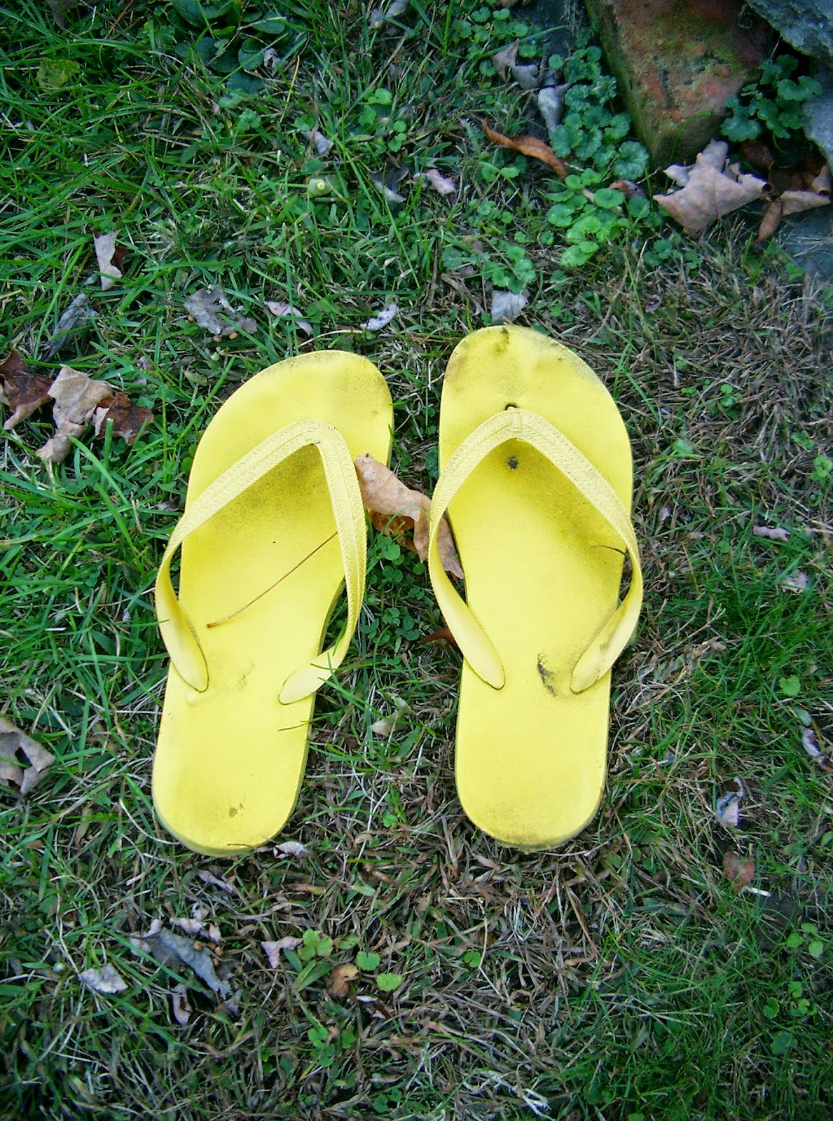 howard's flip-flops ©linda nelson 2014