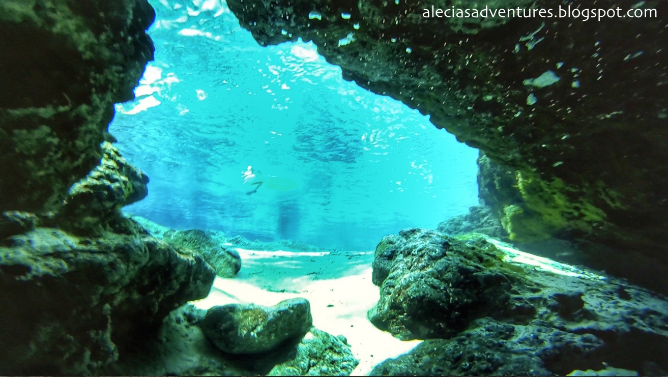 Ginnie Springs, Florida Freshwater Diving Alecia's Adventures