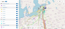 migration bird routes maps