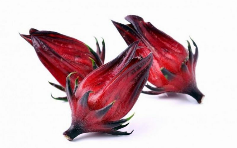 Flor de Jamaica/Roselle