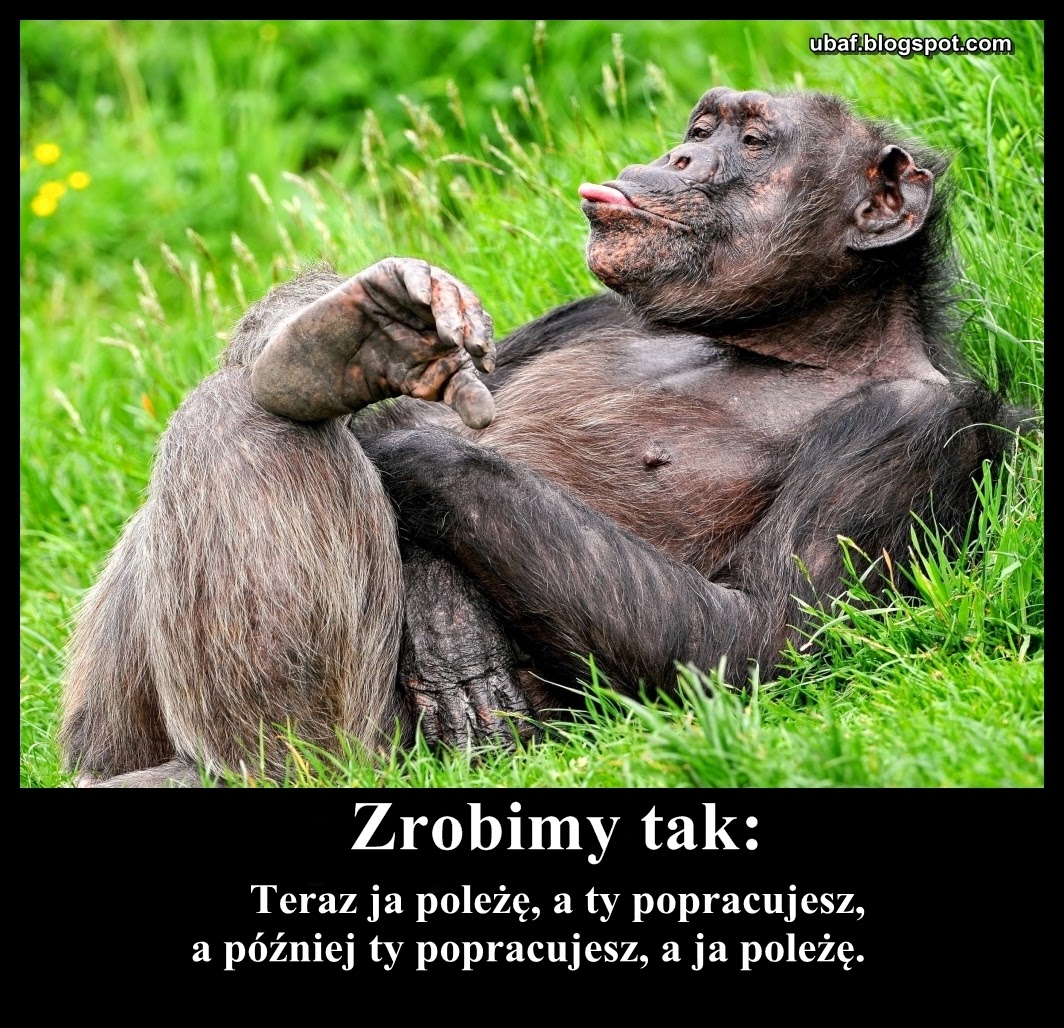 LOLfobia: fajne obrazki o pracy na fb