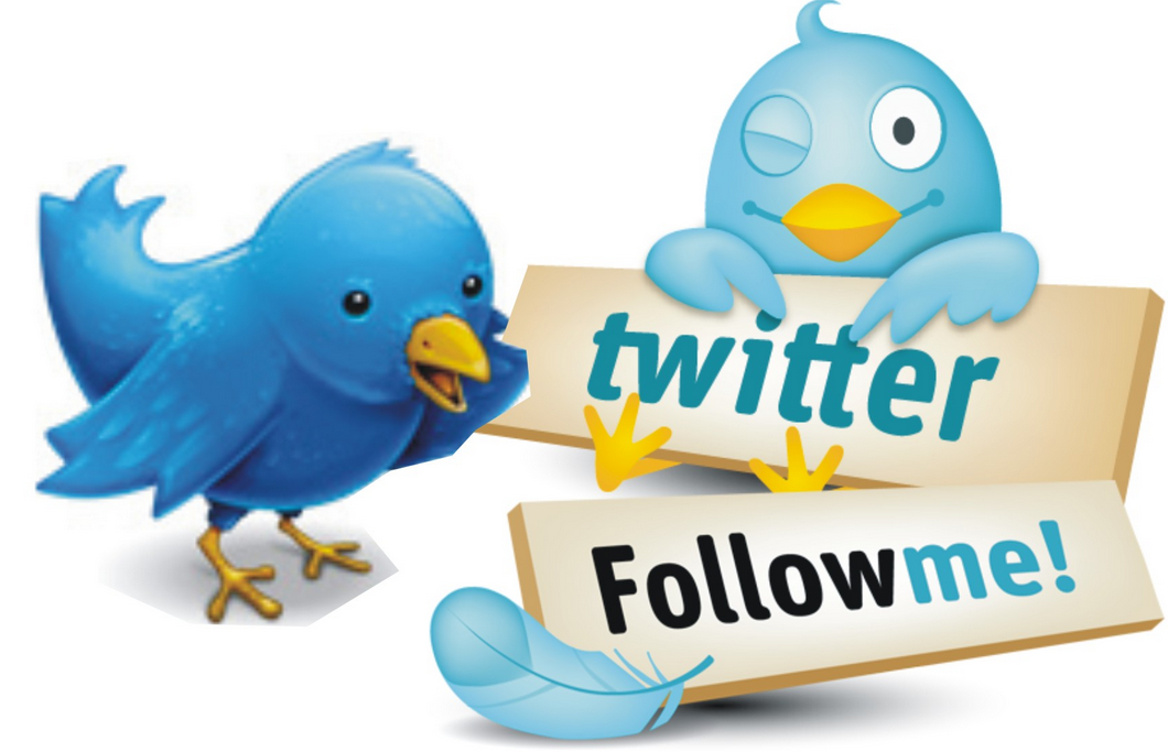 How I got thousands of Real Twitter Followers using Mass Followers