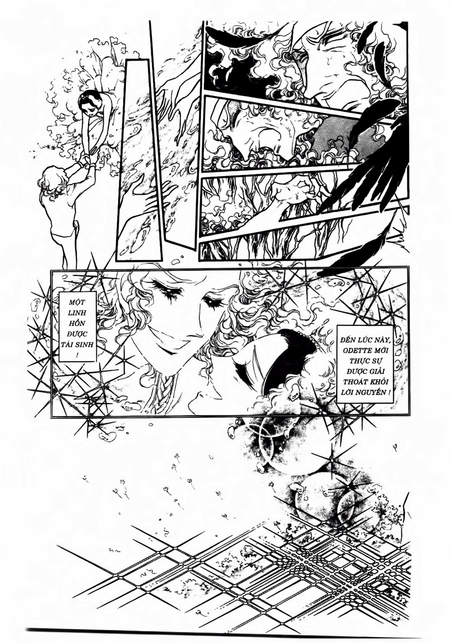 Swan - Vũ Khúc Thiên Nga Chap 48 - Next Chap 49
