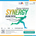 Synergy Run • 2018