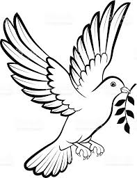 कबूतर का चित्र बनाना सीखे, how to draw a pigeon easy step by step. how to  draw a pigeon - YouTube