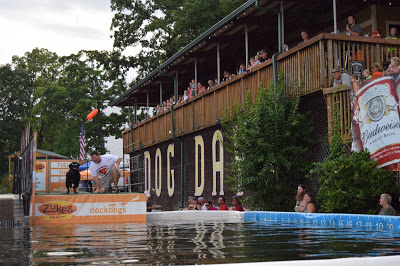 Dog Days Bar & Grill, Lake of the Ozarks, Canine Cannonball