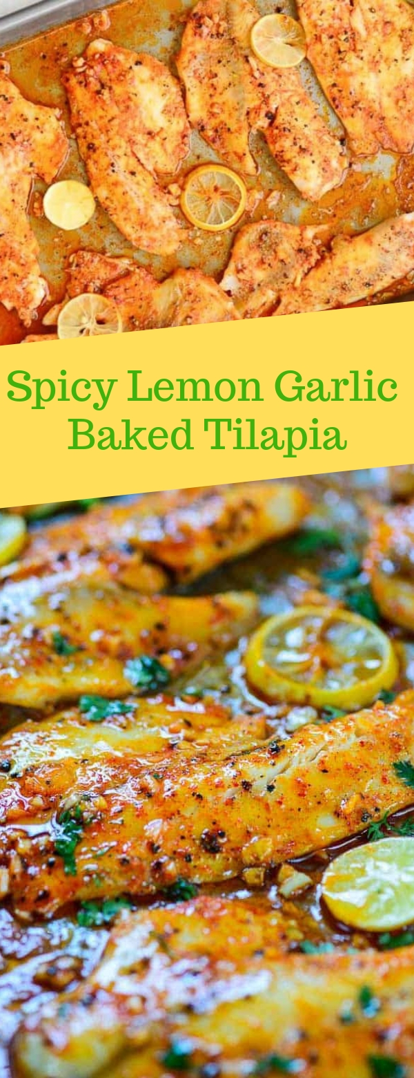 Spicy Lemon Garlic Baked Tilapia Foods for healthy diets