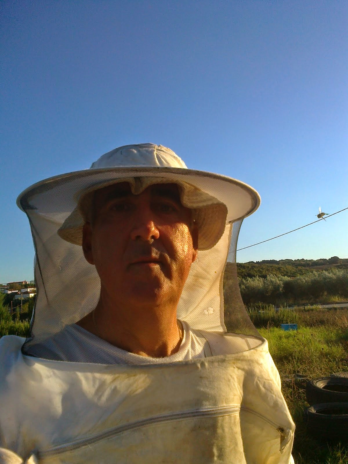 Καρακωστίδης  Νίκος     Μελισσοκόμος    Παραγωγός  (  EL 73 / 462  )