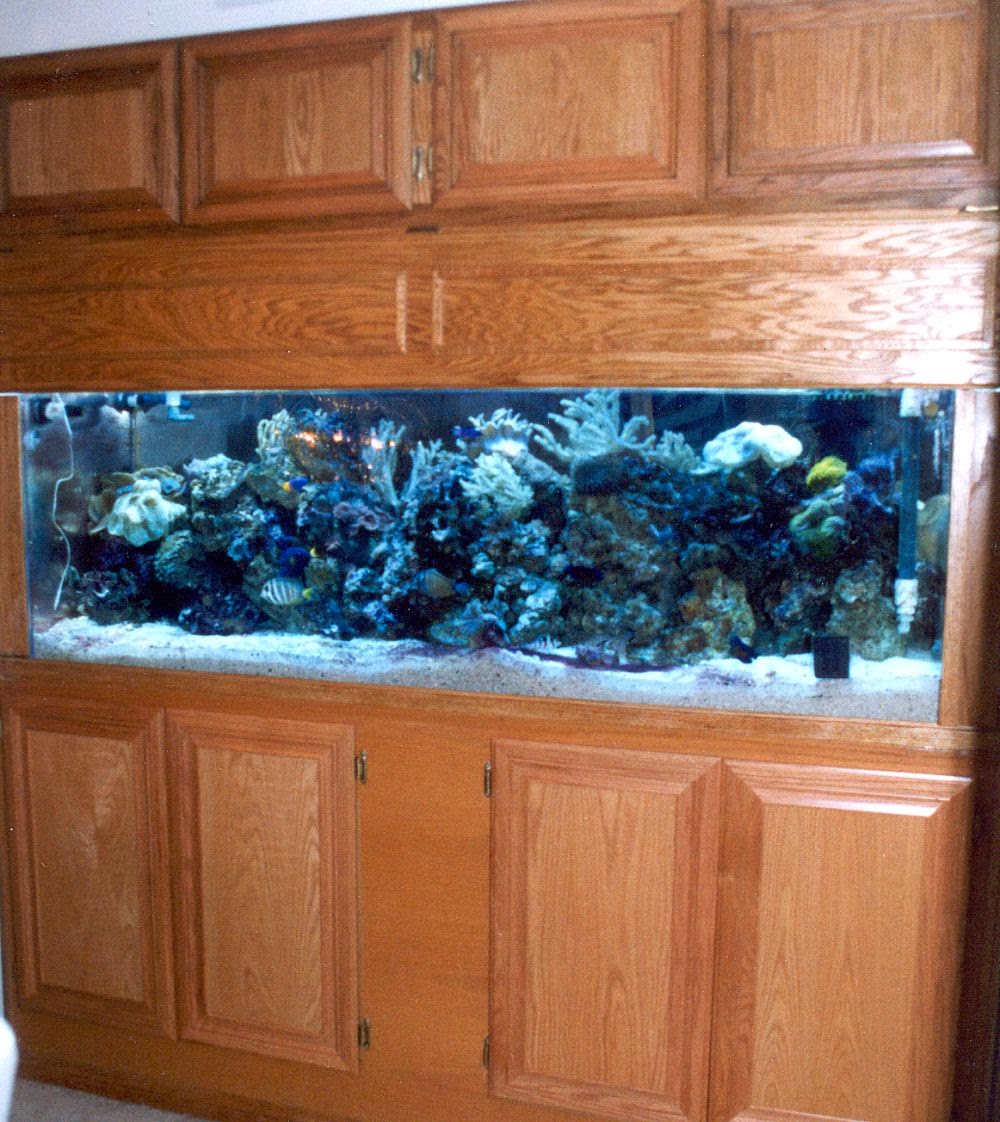 Creative Home Designs Recipes,Interior Home Design Amazing home