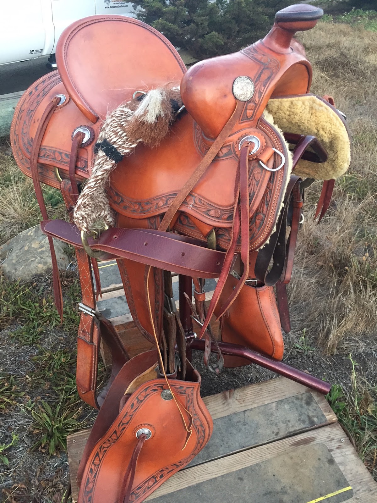 Buckaroo Leather Horse Tack, Use, Care and Maintenance Bridger Creek