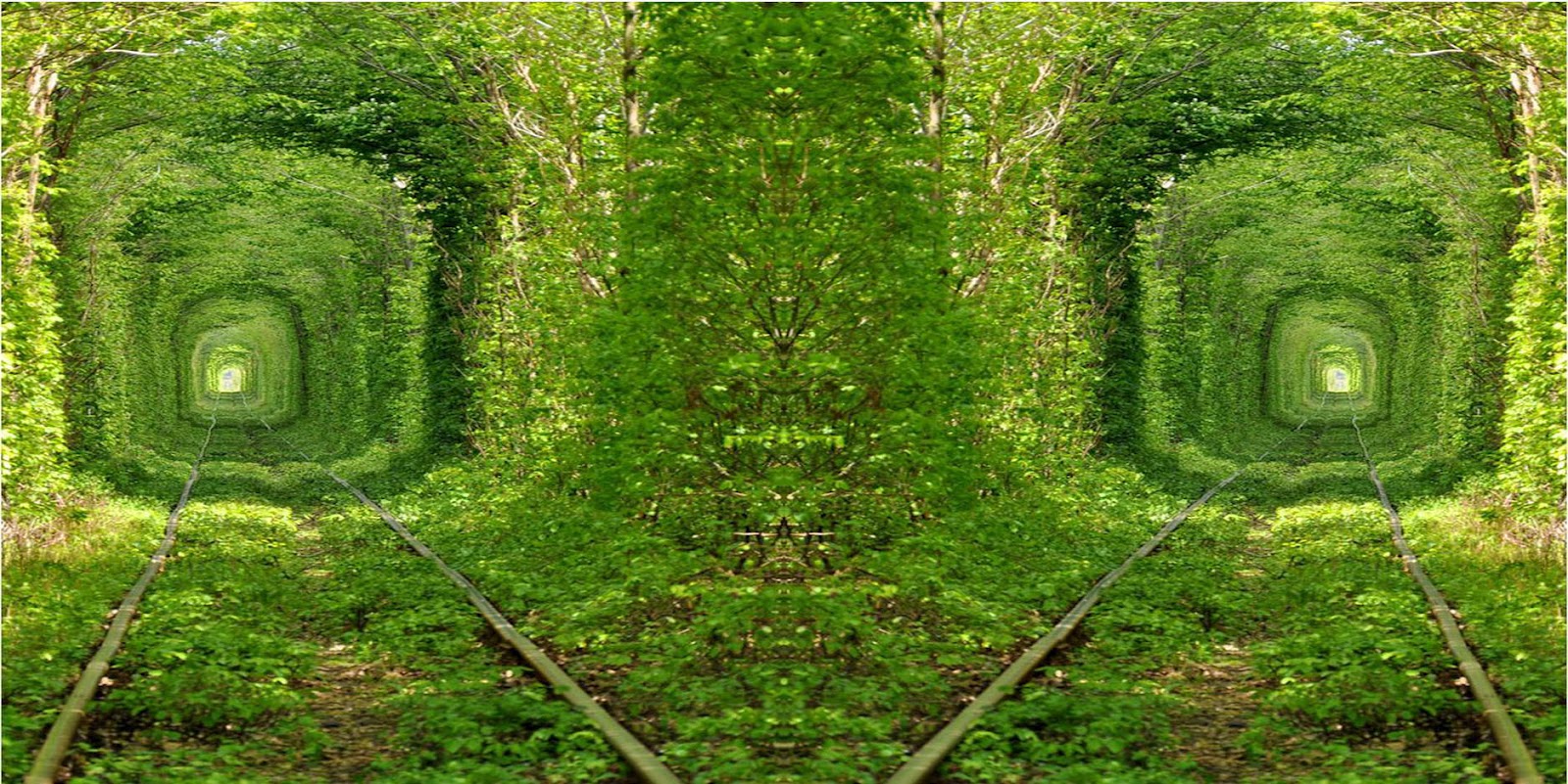 http://4.bp.blogspot.com/-4kh3K0QpzF0/UEhemliQfzI/AAAAAAAAA8g/HLGMtuILIqA/s1600/beautiful-green-tunnel-nature-background-wallpaper-for-laptop-widescreen.jpg