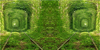 Beautiful Green Tunnel Nature Jungle Background HD Wallpapers Widescreen