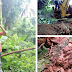 LOOK: Another Mass Grave Found By Ozamiz PNP, 'Human Bones' Supposedly Uncovered
