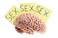 Fuente: http://jovenesnews.com/wp-content/uploads/2014/06/Cerebro-sexo.jpg
